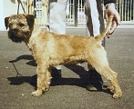 Oro Fleret
